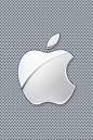 Apple iPod