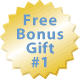 Free Bonus Gift #2