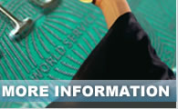 Credit Cards And Loans