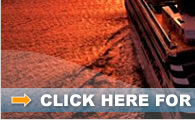 Cruise Line Savings