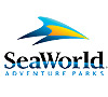 Sea World